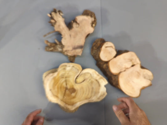 Mixed Raw Wood Slices, Live Edge Unfinished Pieces for Epoxy Resin Crafts, Mini Displays, Handmade Art Projects, Carving or Woodburning #001