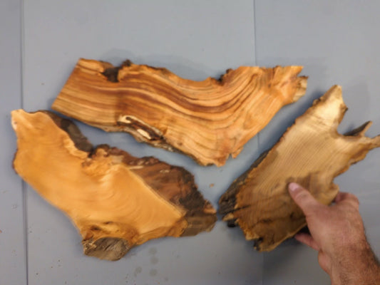 Mixed Raw Wood Slices, Live Edge, Unfinished for Epoxy Resin Crafts, Mini Displays, Handmade Art Projects, Carving or Woodburning #006