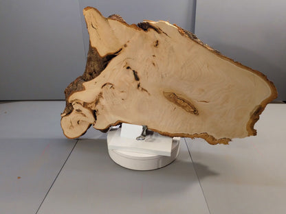 Highly Figured Linden Root Slice, Live Edge Basswood Slab for Epoxy Resin Art, Unique Wood Wall Decor or Crafts #016