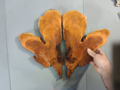 Bookmatched Wild Cherry Wood Slice Set, 2 Piece Live Edge for Resin Art #008