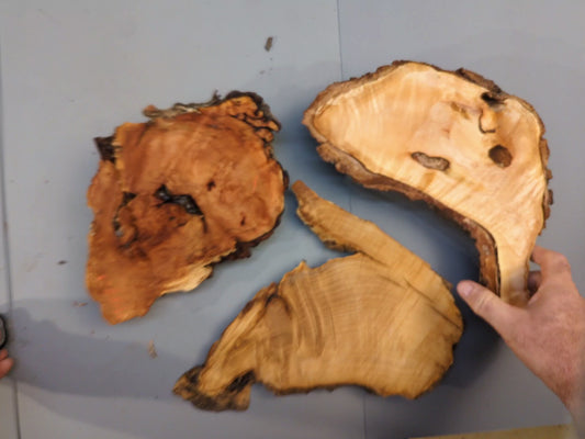Mixed Raw Wood Slices, Live Edge, Unfinished for Epoxy Resin Crafts, Mini Displays, Handmade Art Projects, Carving or Woodburning #008