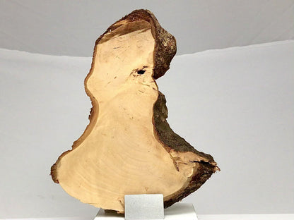 Live Edge Linden/Lime Root Wood Slice for Epoxy Resin Project or Natural Rustic DIY Home Decor #3