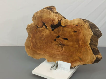 Live Edge Weeping Willow Tree Root Wood Slice for Epoxy Resin Projects or Natural DIY Home Decor #015