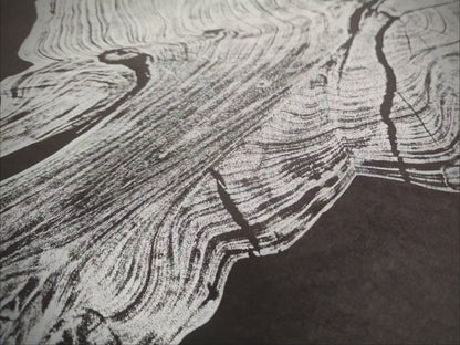 Tree Ring Print, Hand-Pulled Woodcut Monoprint, Rustic Decor, Natural Wood Wall Art, Anniversary, Housewarming Gift #008