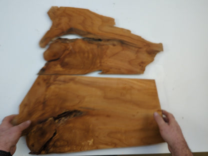 Two Alder Wood Live Edge Slices Raw Lumber Blanks For Custom Woodworking Material Supply #001