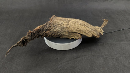 Large Natural Wood Bark, Untreated, Carefully Dried, Perfect for Rustic DIY Projects, Home Decor, or Unique Crafting Needs #1