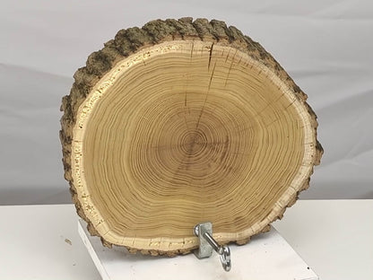 Rustic Live Edge Wood Round with Bark, Natural Tree Slice, End Grain Wood Cookie, Log Disc for Crafts, Home Decor#001