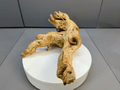 Natural Forest Driftwood Root Sculpture • Gnarled Wood Decor • Terrarium / Aquarium Centerpiece • Unique Forest Find #009
