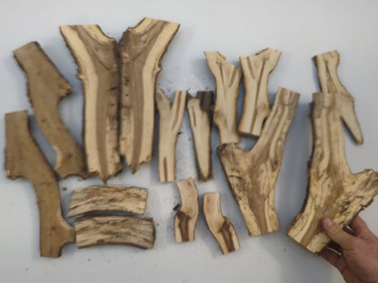 Split Natural Wood Branch Halves With Live Edge And Interesting Grain Pattern Raw Material #046