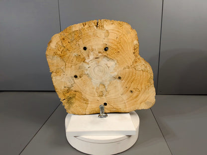 Rustic Live Edge Pine Type Wood Round, Natural Tree Slice, End Grain Wood Cookie, Log Disc for Crafts, Home Decor#003