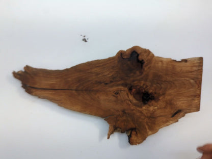 Solid Raw Oak Wood Piece With Natural Edge And Figured Grain For Custom Woodworking #043