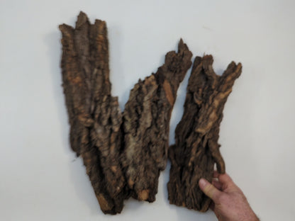 Large Natural Wood Bark for Rustic DIY Projects, Home Decor, or Unique Crafting Needs Untreated #004