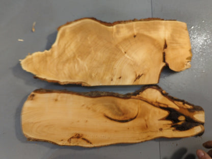 Natural Linden Wood Slices Live Edge Slab For Epoxy Resin Casting And Rustic Home Decor #019