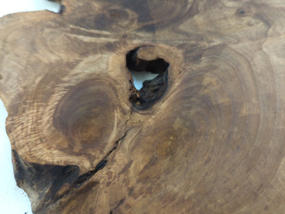 Large Walnut Wood Slab, Live Edge Raw Material, Natural Crafting Piece, Rustic Coffee Table Top, Epoxy Resin Project #036