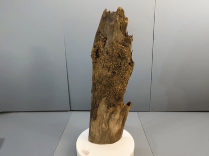 Nature-shaped wood fragment, Aged Forest Wood, Perfect for Rustic DIY Projects, Home Decor, or Unique Crafting Needs #012