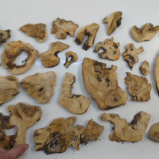EL-008 | EL-008 (1).mp4