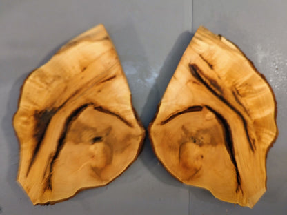 Bookmatched Live Edge Linden/Lime Root Wood Slices for Epoxy Resin Project or Natural Rustic DIY Home Decor #011
