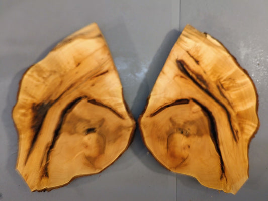 Bookmatched Live Edge Linden/Lime Root Wood Slices for Epoxy Resin Project or Natural Rustic DIY Home Decor #011