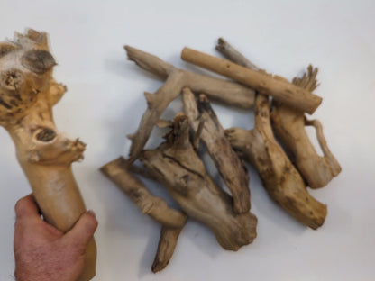 Raw Elderberry Root Branches Driftwood Style Natural Wood Pieces For Sculptural Woodworking Crafting Supplies #044