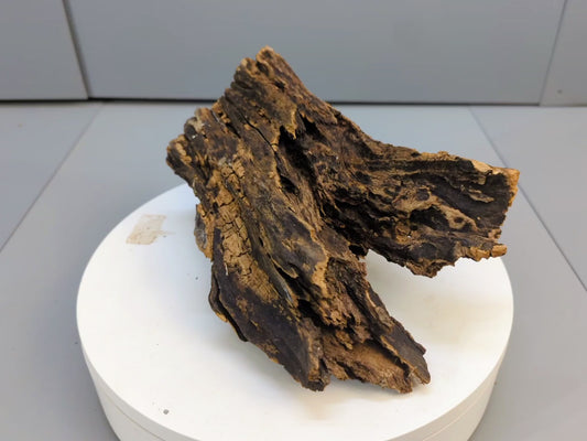 Dark, Aged Forest Driftwood • Natural Sculpture Wood Piece • Organic Rustic Decor • Terrarium or Aquarium Decor • Unique Forest Find #011