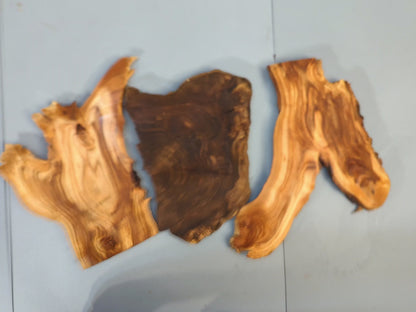 Mixed 18 mm-0.7 inch Thick Wood Slices, Live Edge Unfinished for Epoxy Resin Crafts, Mini Displays, Carving or Woodburning #004