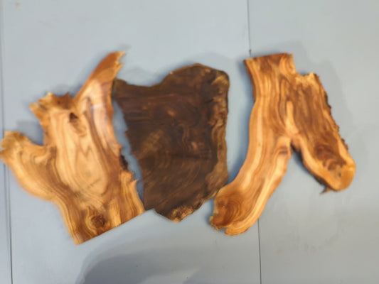 Mixed 18 mm-0.7 inch Thick Wood Slices, Live Edge Unfinished for Epoxy Resin Crafts, Mini Displays, Carving or Woodburning #004
