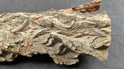 Large Natural Wood Bark, Untreated, Carefully Dried, Perfect for Rustic DIY Projects, Home Decor, or Unique Crafting Needs #2