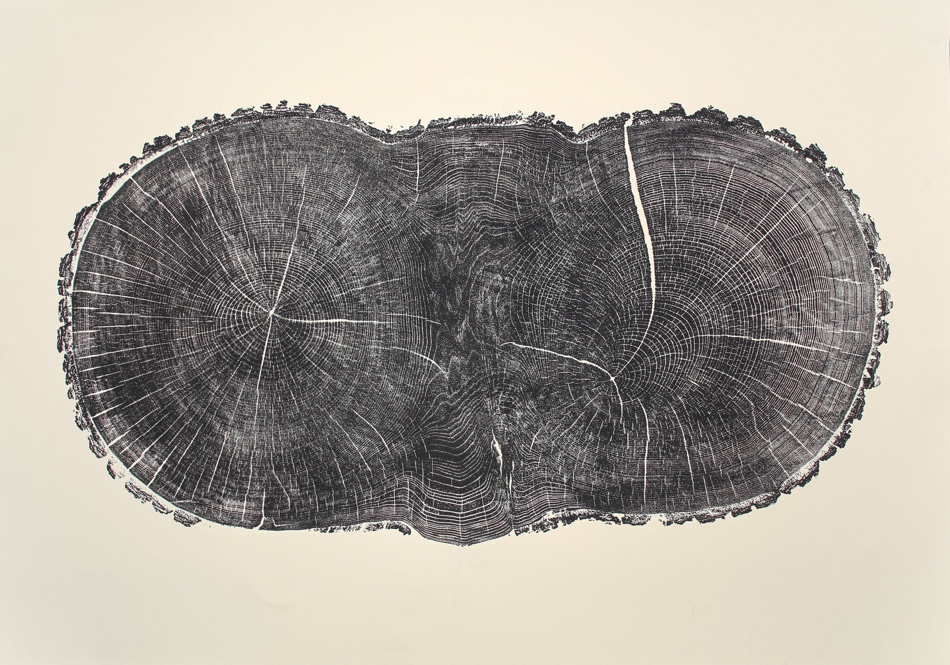 Irregular, elongated dark oak tree cross-section print, showing detailed growth rings, radial lines, and a crack.