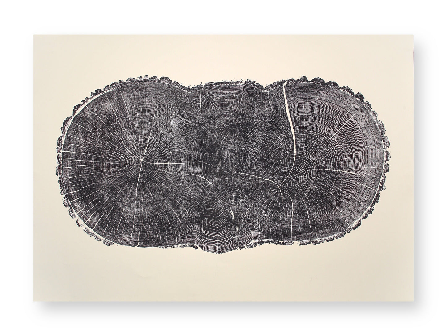 Black double-lobed tree ring monoprint with radial lines and a crack on light beige paper.