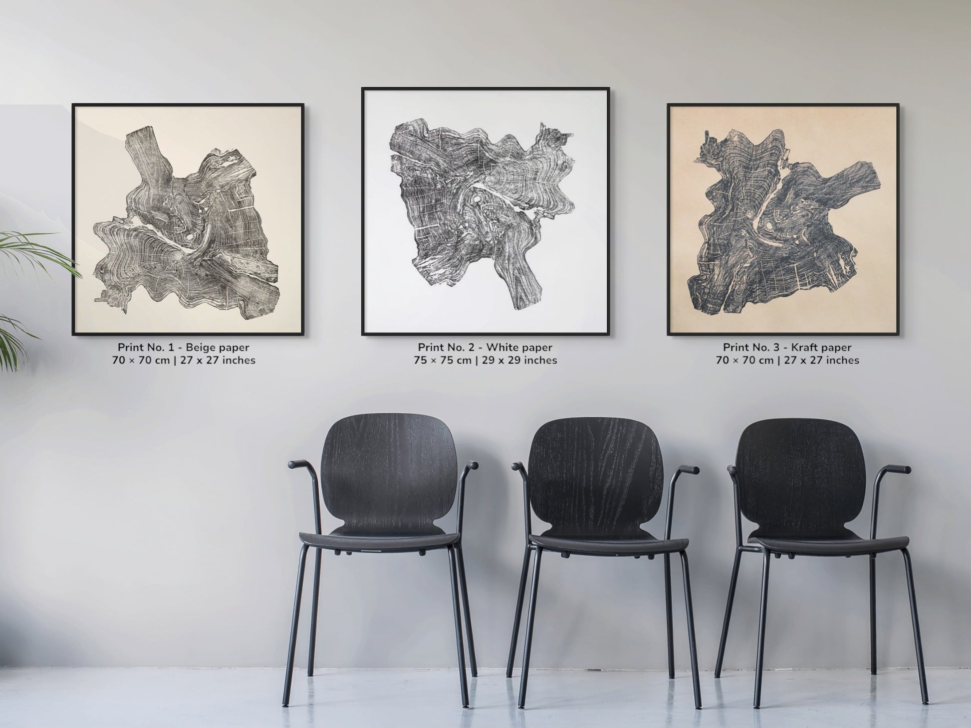 A triptych of framed timber prints on varied paper tones shows irregular growth patterns.