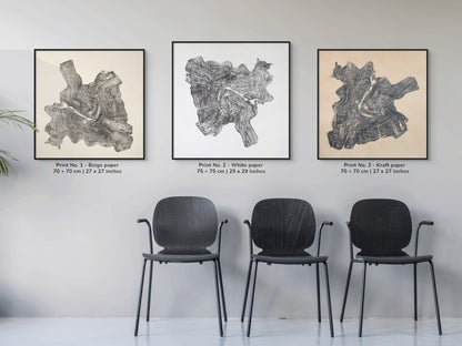 A triptych of framed timber prints on varied paper tones shows irregular growth patterns.