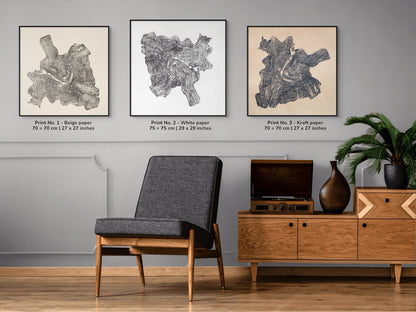 A trio of framed woodblock prints showcases a root's intricate, swirling growth ring patterns.