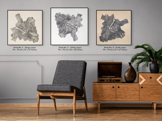 A trio of framed woodblock prints showcases a root's intricate, swirling growth ring patterns.