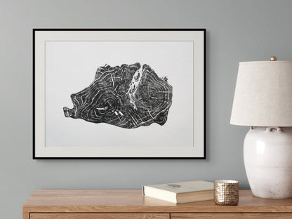 Black and white framed art print depicting an irregular tree root slice with growth rings.