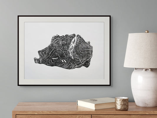 Black and white framed art print depicting an irregular tree root slice with growth rings.