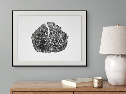 A framed black and white tree ring print hangs on a grey wall above a wooden table.
