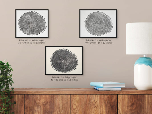Collage showing three framed black and white woodcut tree ring monoprints with descriptive text labels and decor.