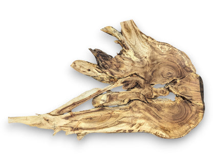 A single, gnarled root wood slab displaying complex swirling grain patterns and natural live edge voids.
