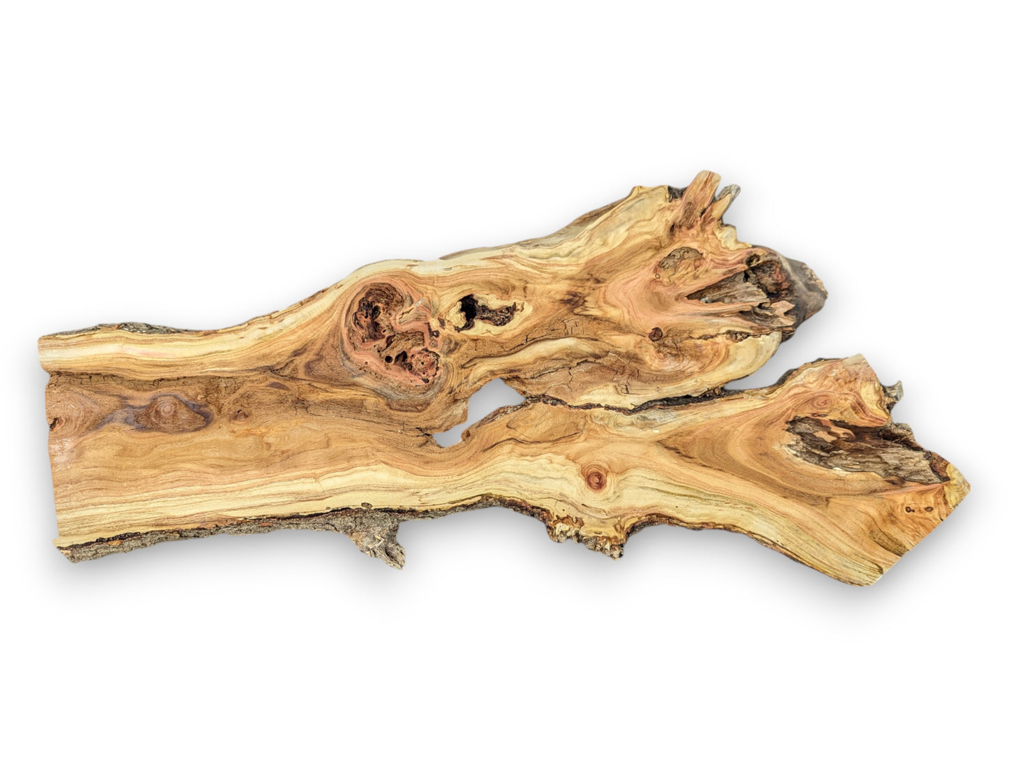 Irregular honey locust root slice, light brown, featuring swirling grain, dark knots, and natural rough edges.