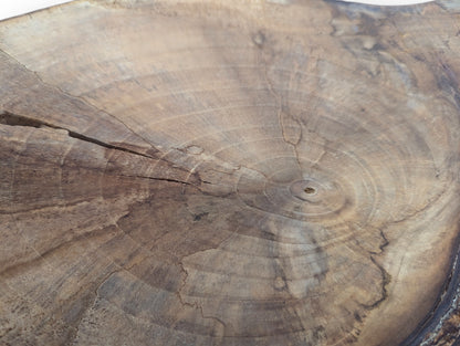 Detail view of a natural brown wood slice featuring prominent concentric rings, a central pith, and deep cracks.