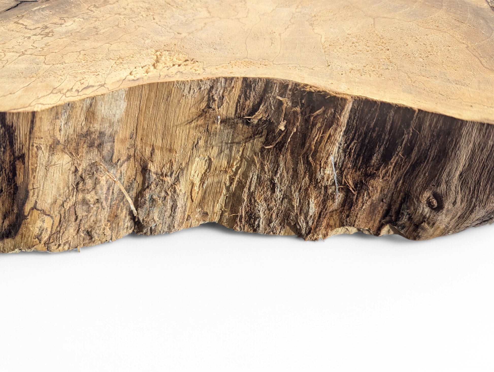 This English walnut root wood slice features a light, patterned top and dark, rough live edge.