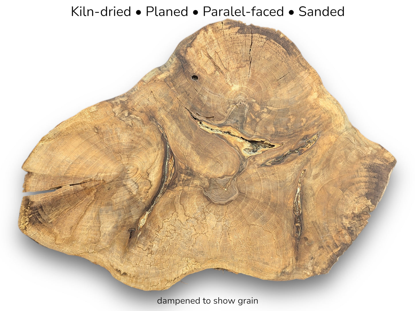 Irregular light brown walnut root slice displaying dark grain patterns and fissures with descriptive text overlays.