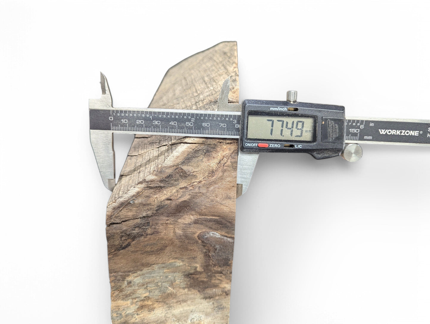 Textured, brown-gray English walnut root wood slice measured by a digital caliper displaying 77.49 mm.